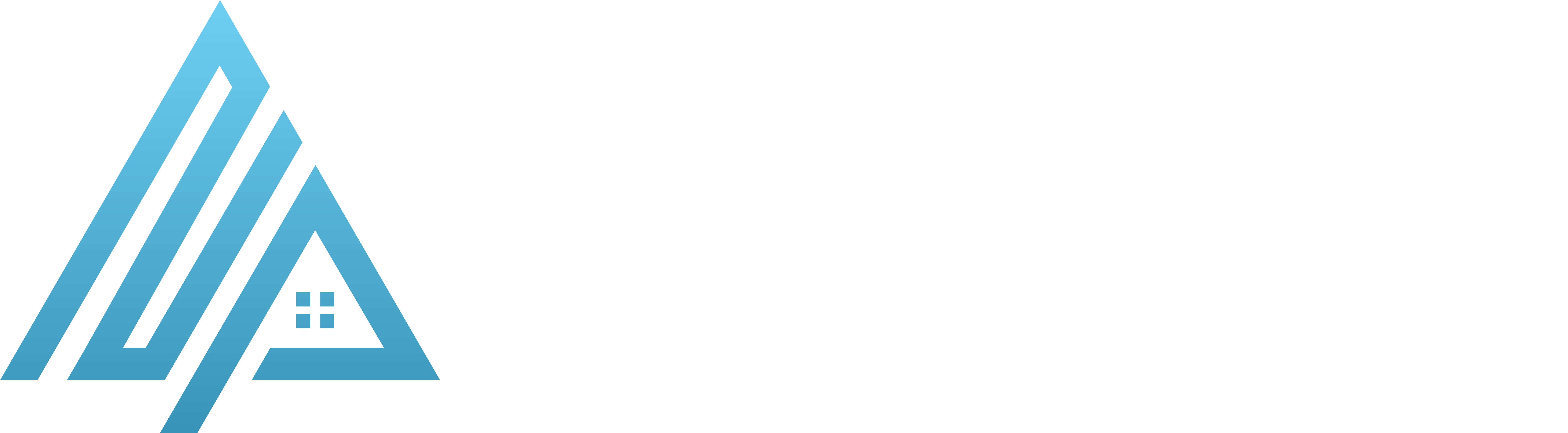 Novus Partners Logo